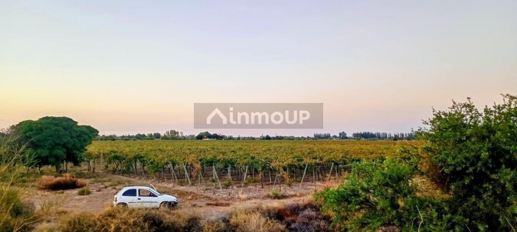 Finca en Venta en Junin, Mendoza