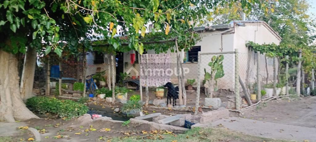 Finca en Venta en Junin, Mendoza