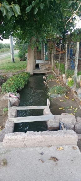 Finca en Venta en Junin, Mendoza