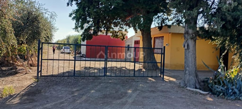 Finca en Venta en Junin, Mendoza