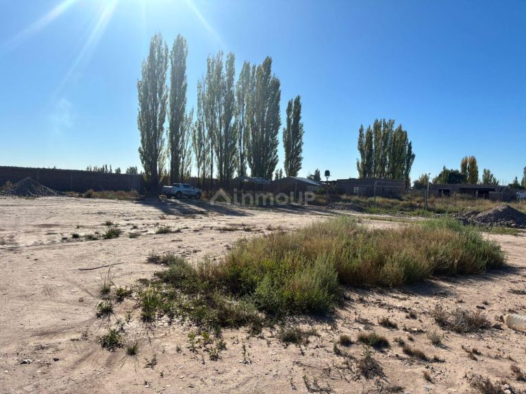 Lote en Venta en Lujan de Cuyo, Mendoza