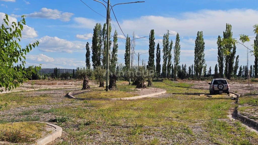 Lote en Venta en Lujan de Cuyo, Mendoza