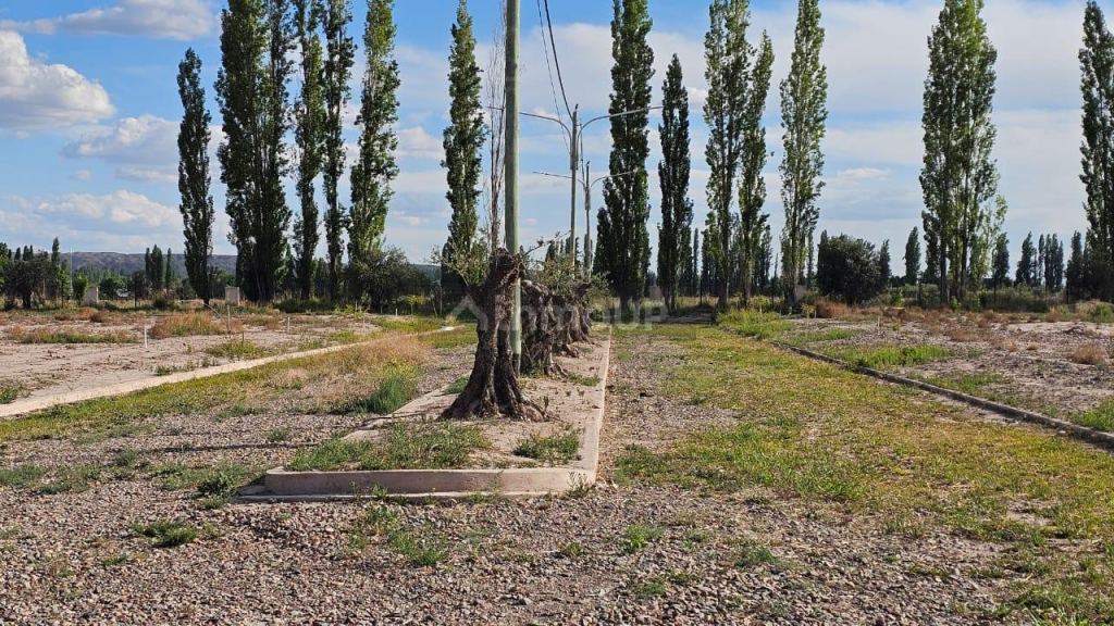 Lote en Venta en Lujan de Cuyo, Mendoza