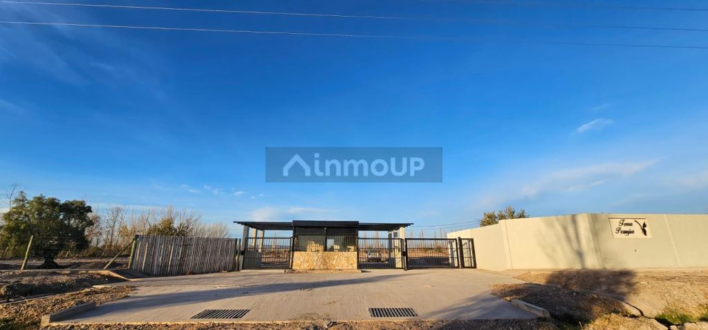 Lote en Venta en Lujan de Cuyo, Mendoza