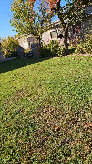 Local Comercial en Venta en Maipu, Mendoza