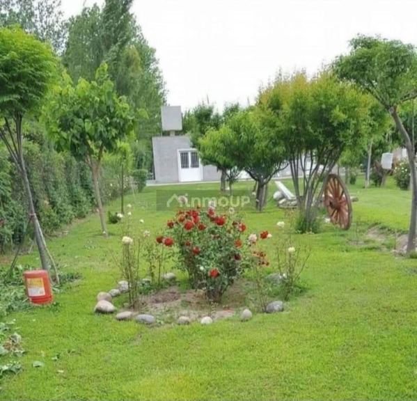 Local Comercial en Venta en Maipu, Mendoza