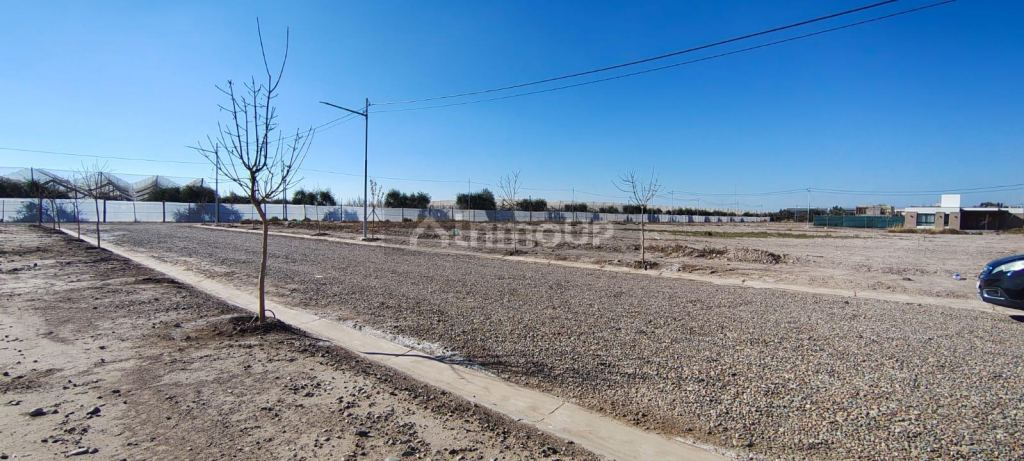 Lote en Venta en Lujan de Cuyo, Mendoza