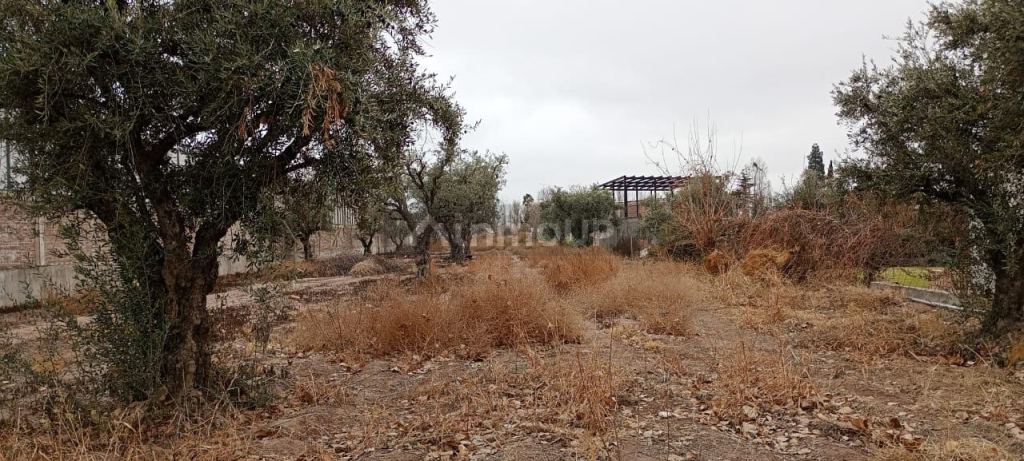 Lote en Venta en Lujan de Cuyo, Mendoza - USD 310.000 | Inmoup - 8
