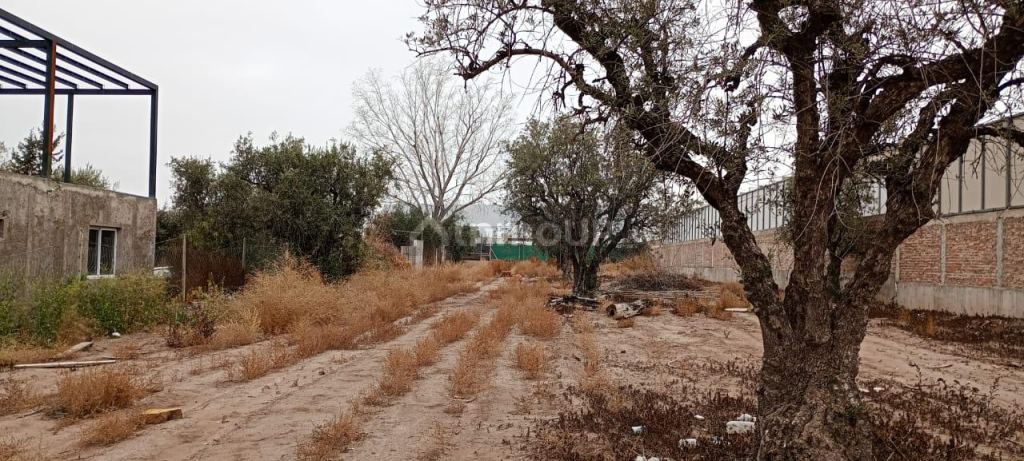 Lujan de Cuyo Zapiola 1125, Lateral Oeste de Acceso Sur, Lujan de Cuyo Mendoza.