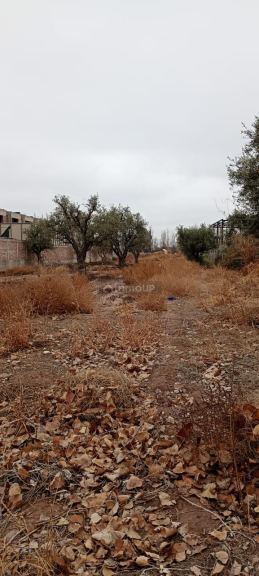 Lujan de Cuyo Zapiola 1125, Lateral Oeste de Acceso Sur, Lujan de Cuyo Mendoza.