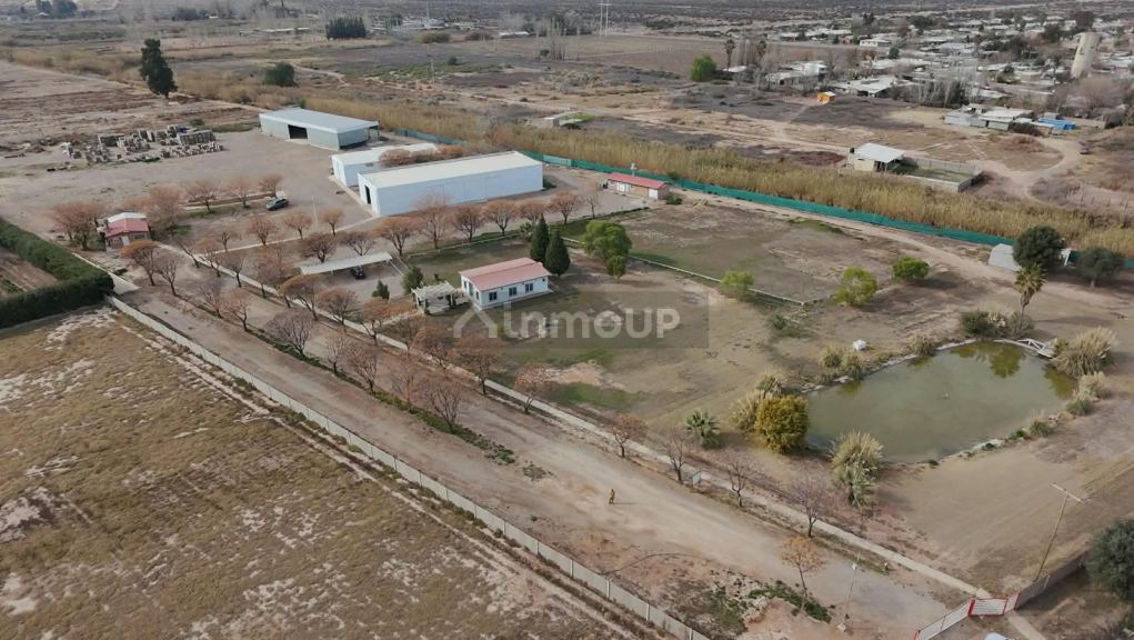 Galpon en Venta en Guaymallen, Mendoza - USD 950.000 | Inmoup - 27