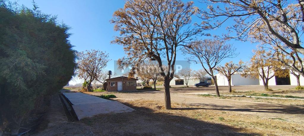 Galpon en Alquiler en Guaymallen, Mendoza