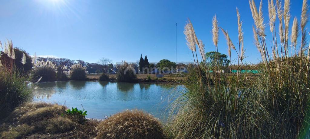 Galpon en Alquiler en Guaymallen, Mendoza
