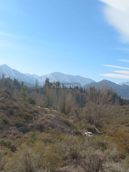 Lote en Venta en Lujan de Cuyo, Mendoza