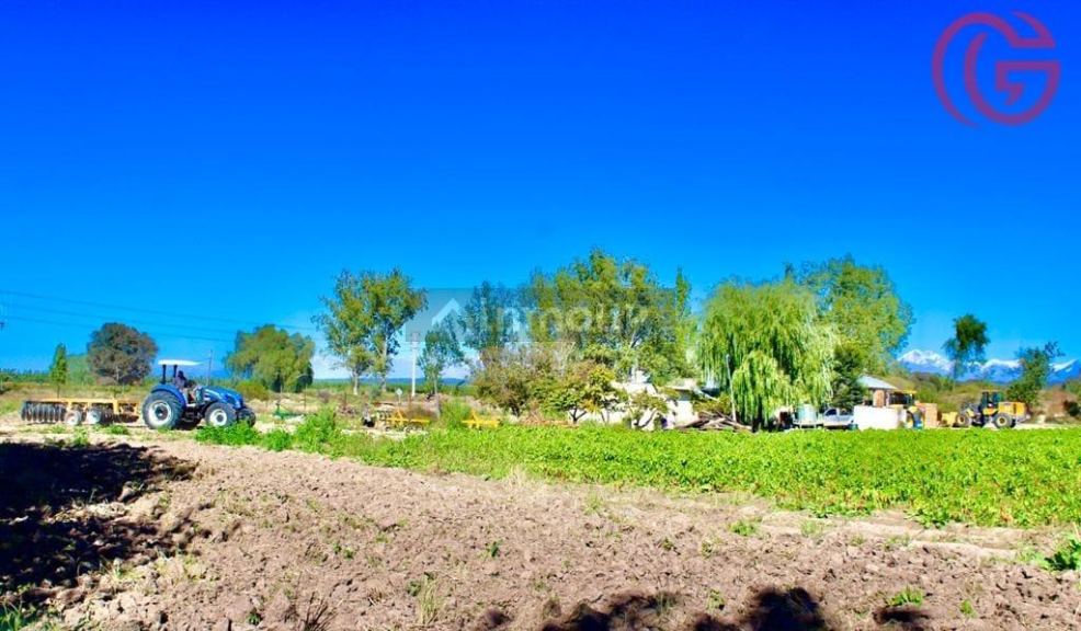 Finca en Venta en Lujan de Cuyo, Mendoza