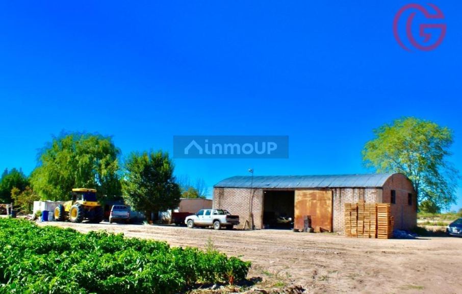 Finca en Venta en Lujan de Cuyo, Mendoza