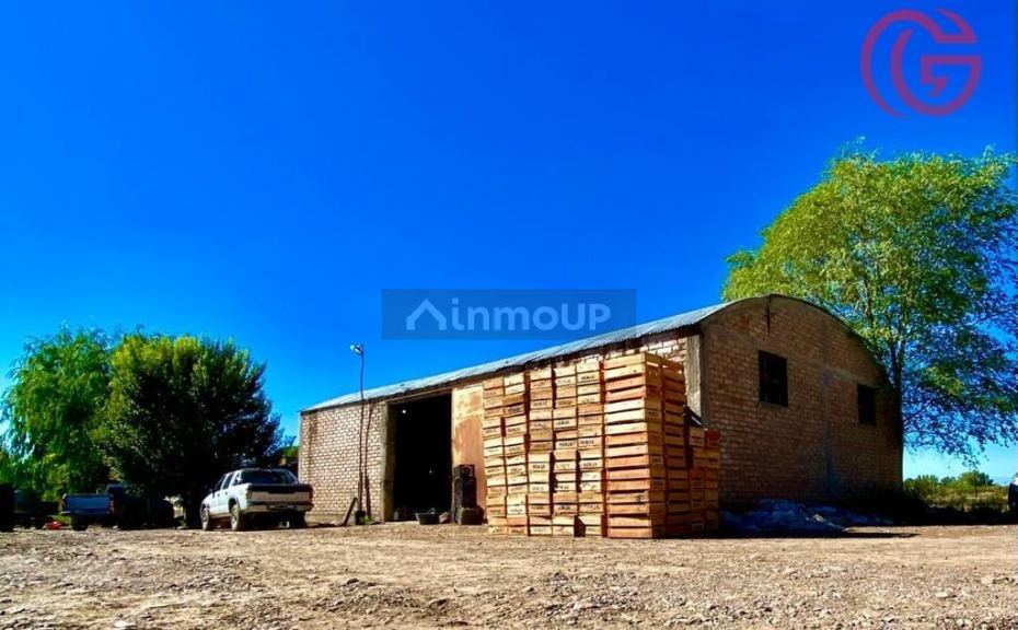 Finca en Venta en Lujan de Cuyo, Mendoza