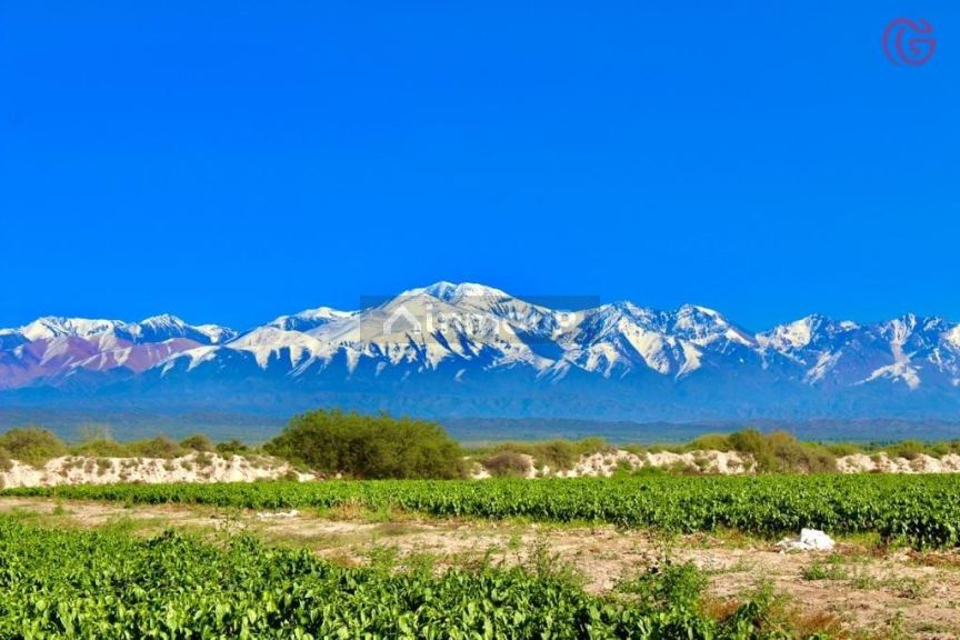 Finca en Venta en Lujan de Cuyo, Mendoza