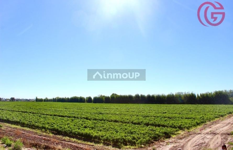 Finca en Venta en Lujan de Cuyo, Mendoza