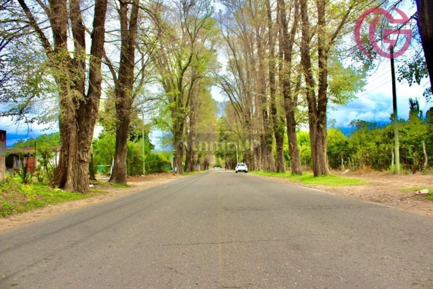 Lote en Venta en Tunuyan, Mendoza