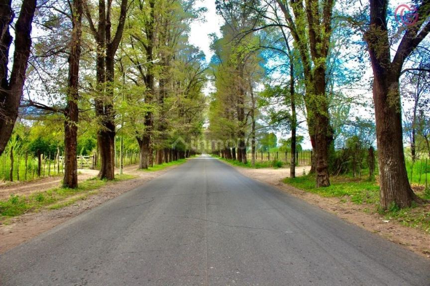 Lote en Venta en Tunuyan, Mendoza