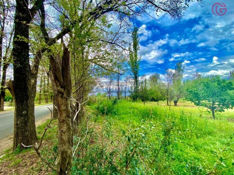 Lote en Venta en Tunuyan, Mendoza