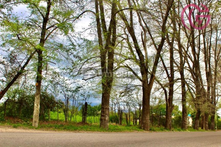 Lote en Venta en Tunuyan, Mendoza