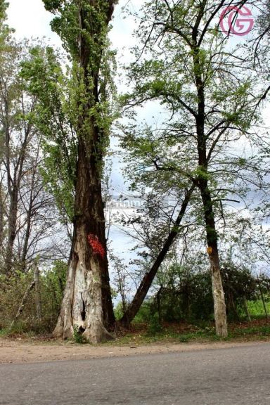 Lote en Venta en Tunuyan, Mendoza
