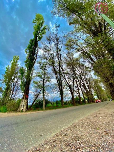 Lote en Venta en Tunuyan, Mendoza