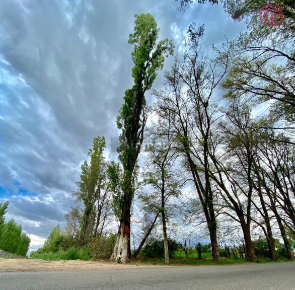 Lote en Venta en Tunuyan, Mendoza