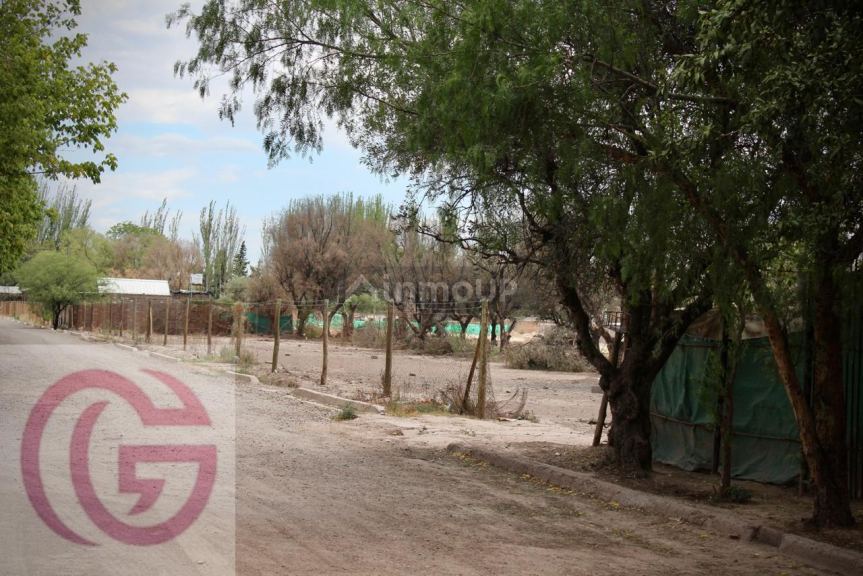 Lote en Venta en Lujan de Cuyo, Mendoza