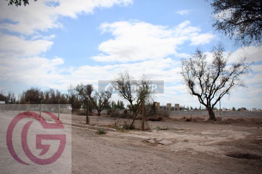 Lote en Venta en Lujan de Cuyo, Mendoza