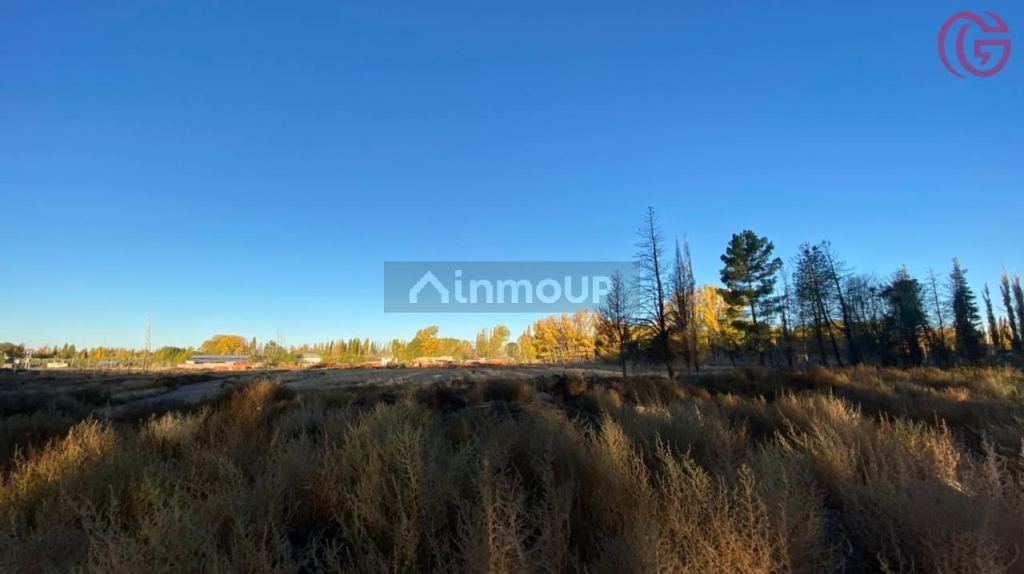 Finca en Venta en Malargue, Mendoza