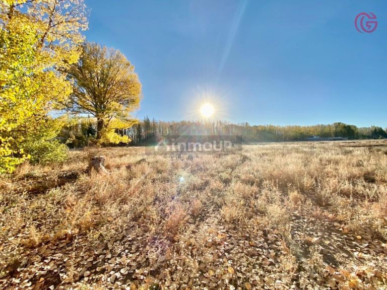 Finca en Venta en Malargue, Mendoza