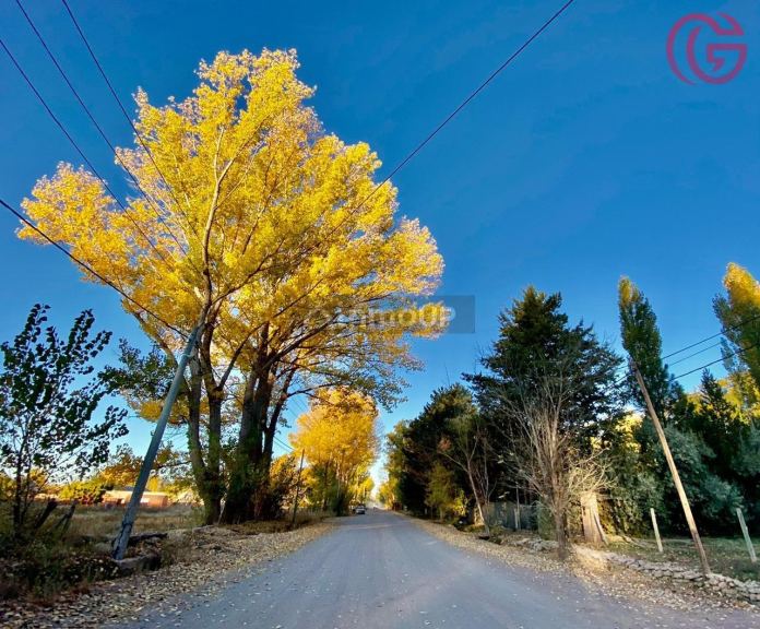 Finca en Venta en Malargue, Mendoza