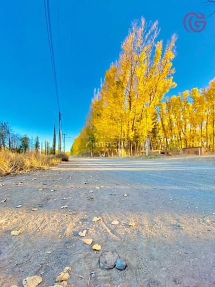 Finca en Venta en Malargue, Mendoza