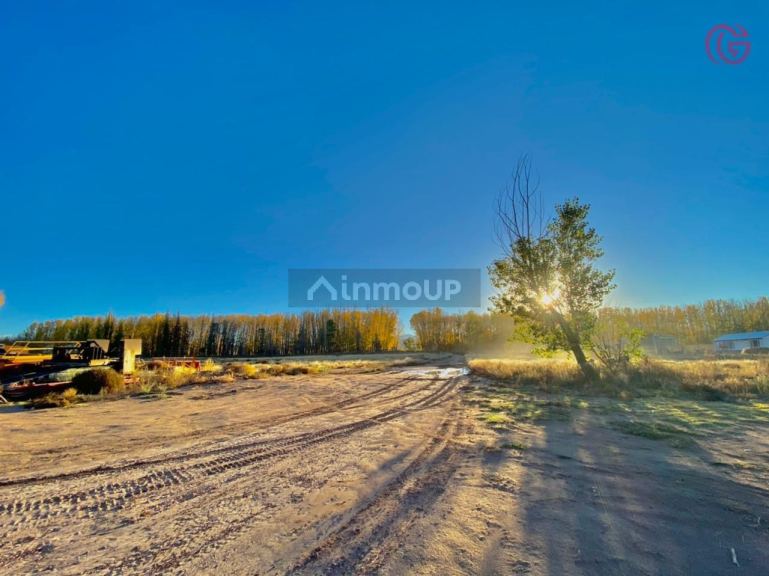 Finca en Venta en Malargue, Mendoza