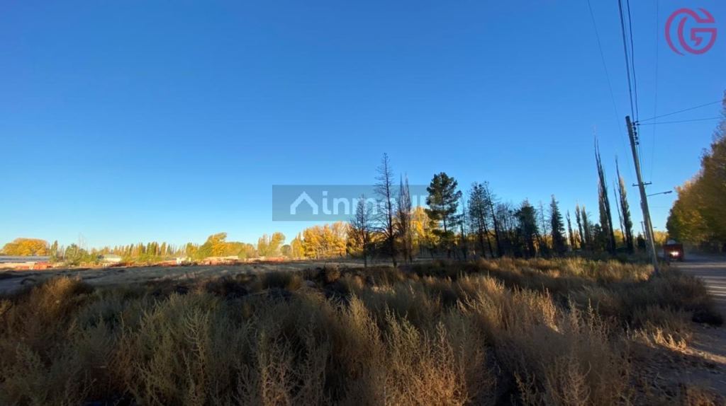 Finca en Venta en Malargue, Mendoza