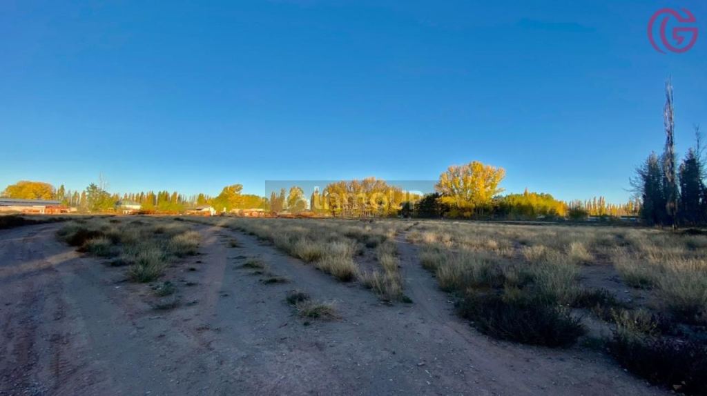 Finca en Venta en Malargue, Mendoza