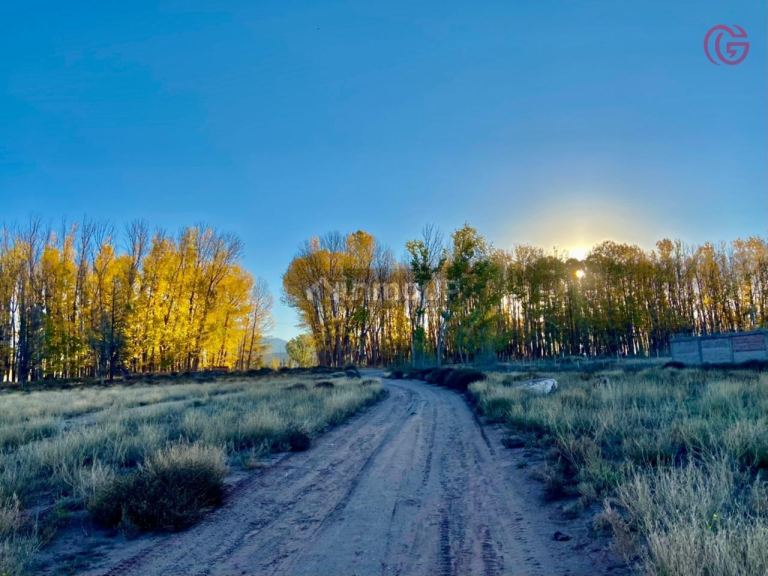 Finca en Venta en Malargue, Mendoza