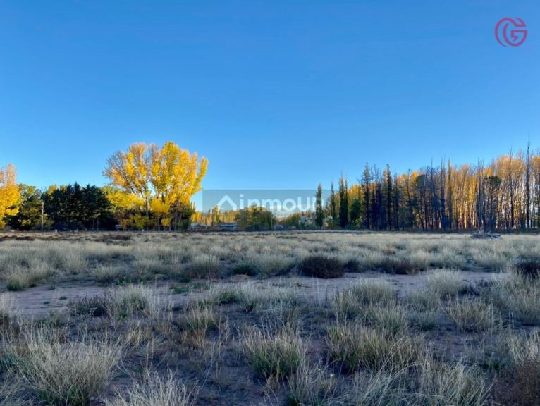 Finca en Venta en Malargue, Mendoza
