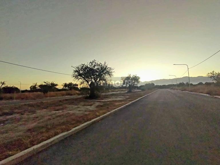 Lote en Venta en Lujan de Cuyo, Mendoza