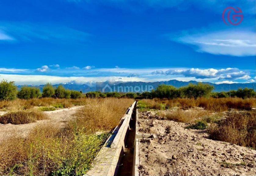 Lote en Venta en Lujan de Cuyo, Mendoza
