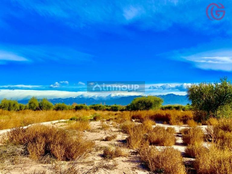 Lote en Venta en Lujan de Cuyo, Mendoza