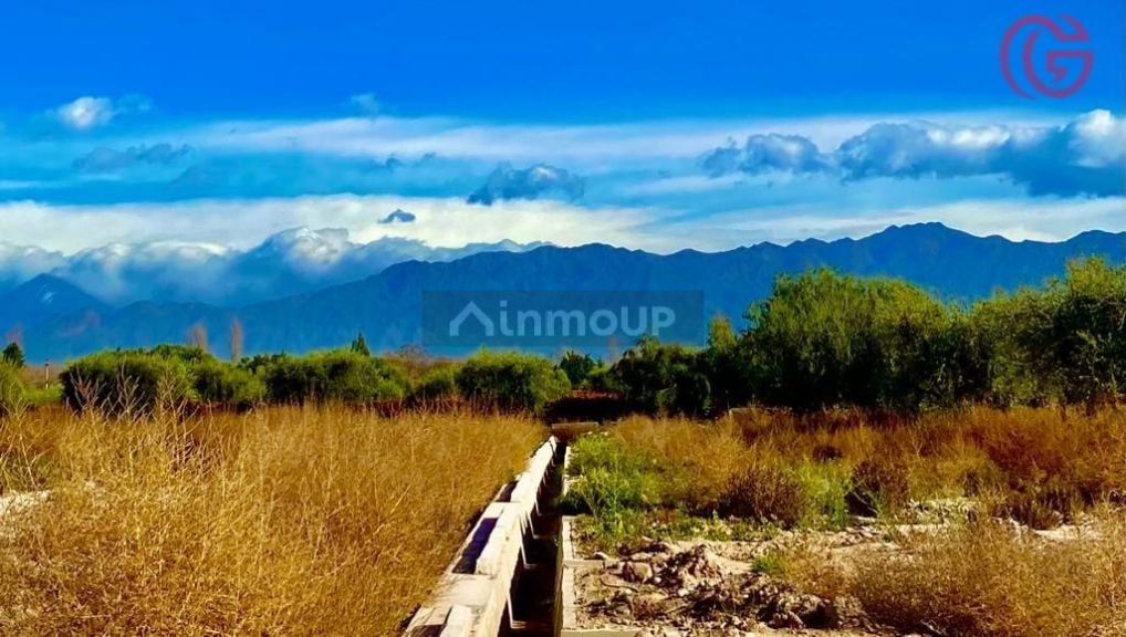 Lote en Venta en Lujan de Cuyo, Mendoza