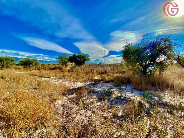 Lote en Venta en Lujan de Cuyo, Mendoza