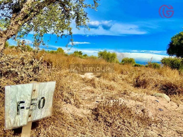 Lote en Venta en Lujan de Cuyo, Mendoza