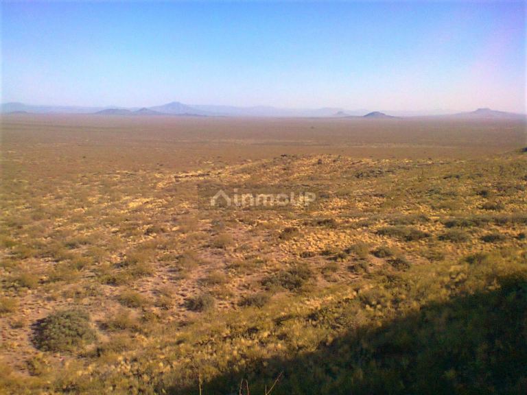 Campo en Venta en San Rafael, Mendoza