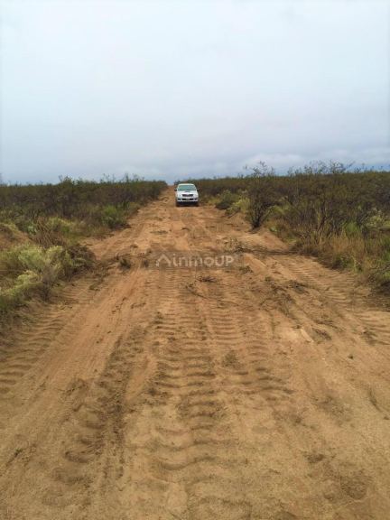 Campo en Venta en San Rafael, Mendoza