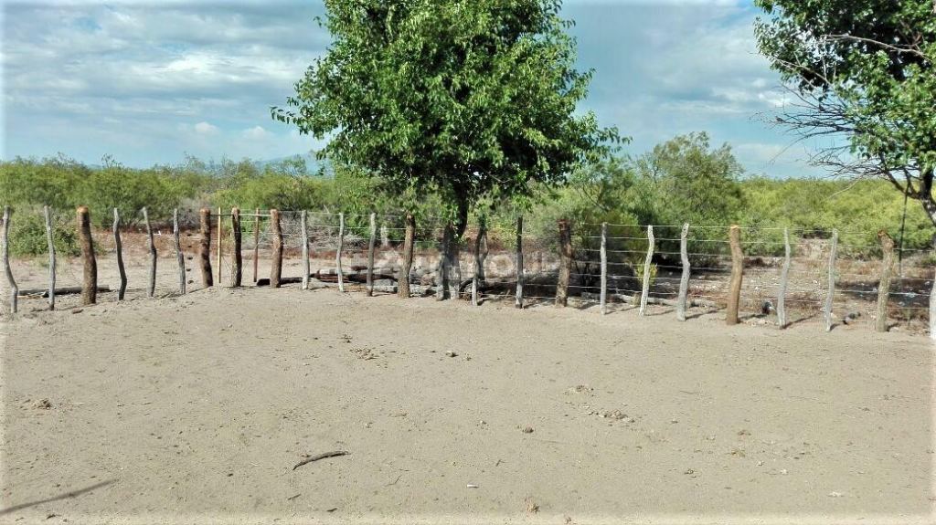 Campo en Venta en San Rafael, Mendoza
